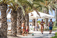 Billede av hotellet Louis Phaethon Beach Hotel - nummer 1 af 6